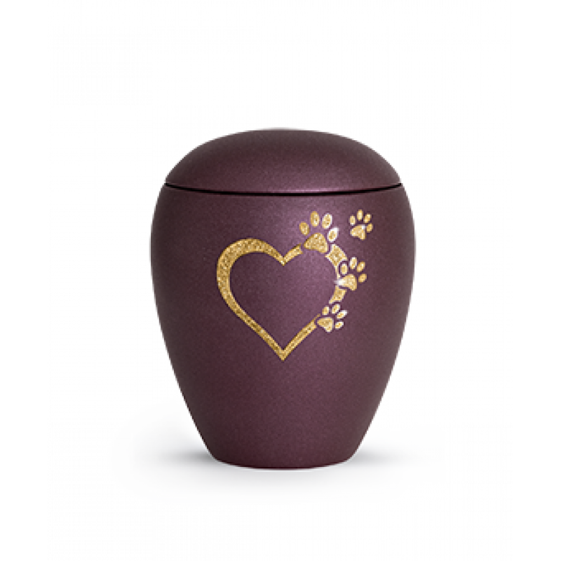 Edition Verona, velvet berry, Sparkling Star Herz mit Pfoten in gold