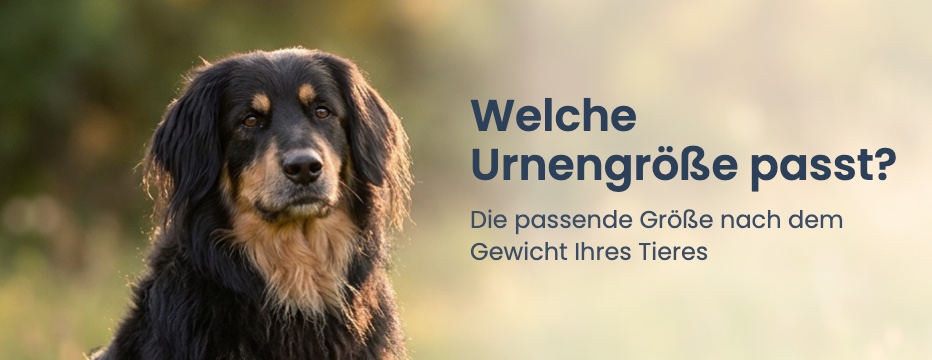 Welche Urnengröße passt? Die passende Größe nach dem Gewicht Ihres Tieres